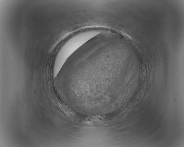 X0000080801255200701021241