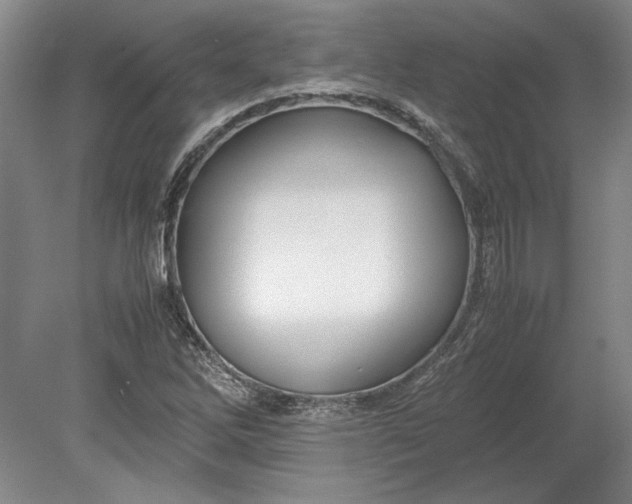 X0000080801262200701021241