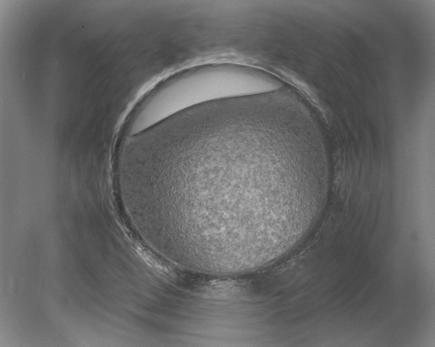 X0000080801264200701021241
