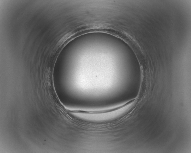 X0000080801265200701021241