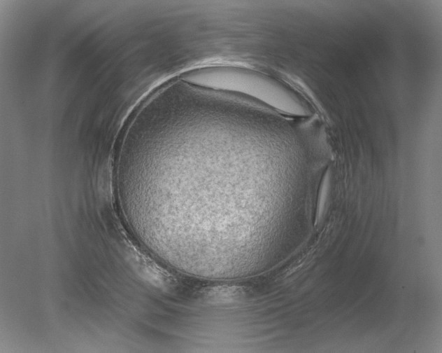 X0000080801268200701021240