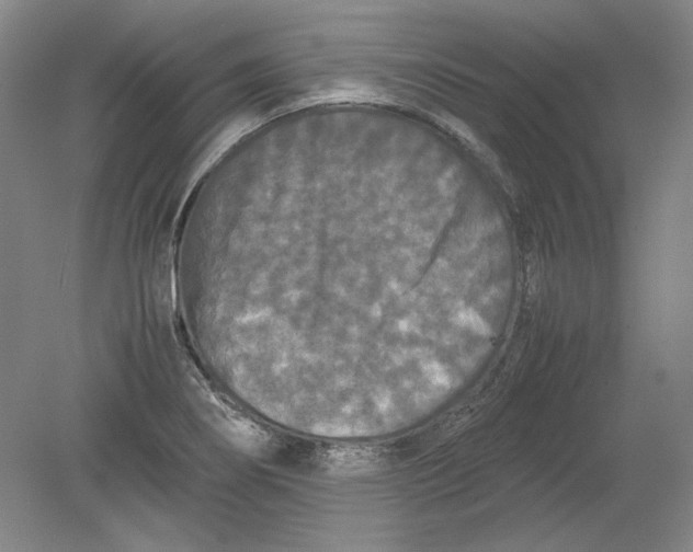X0000080801274200701021240