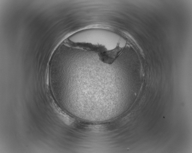 X0000080801276200701021240