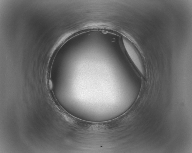 X0000080801277200701021240