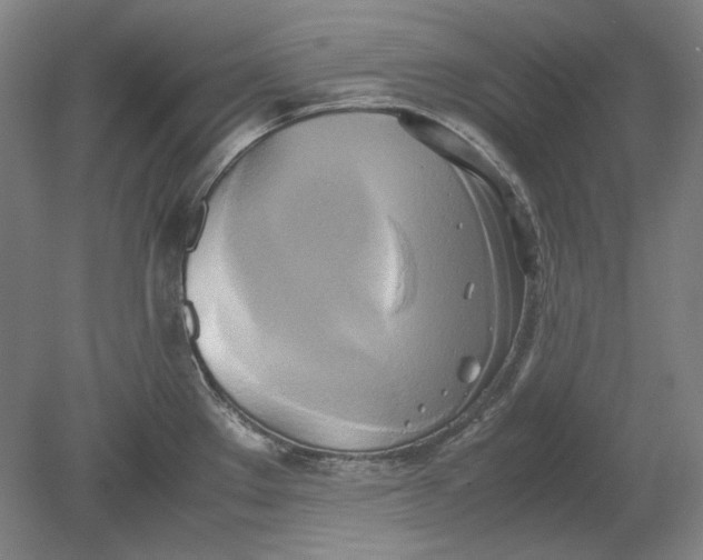 X0000080801289200701021240