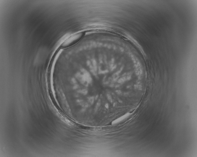 X0000080801291200701021240