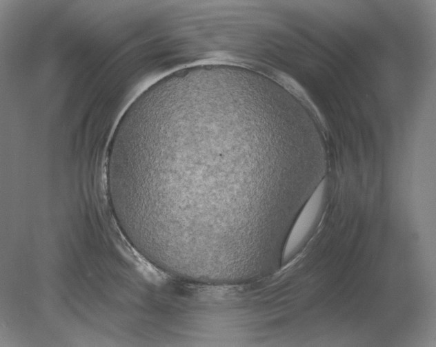 X0000080801292200701021240