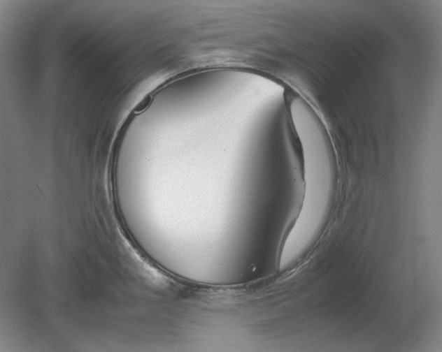 X0000080801293200701021240