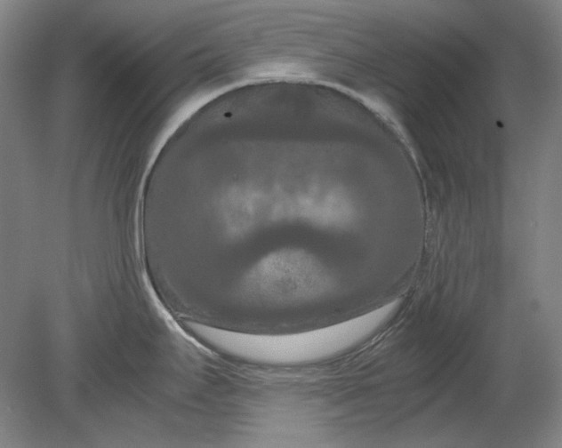 X0000080801295200701021240