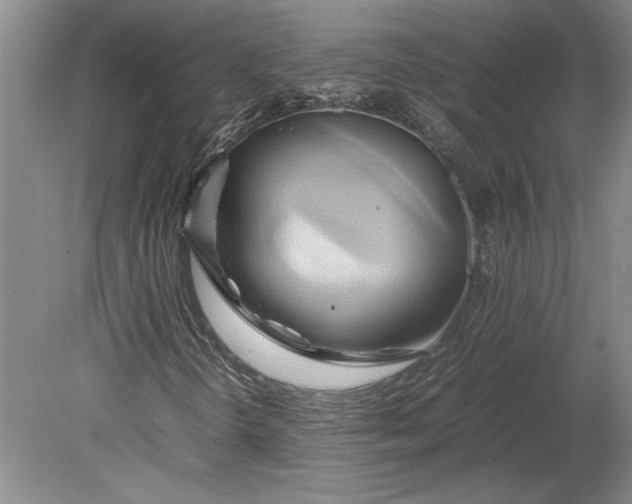 X0000080801298200701021239