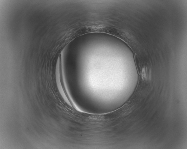 X0000080801299200701021239