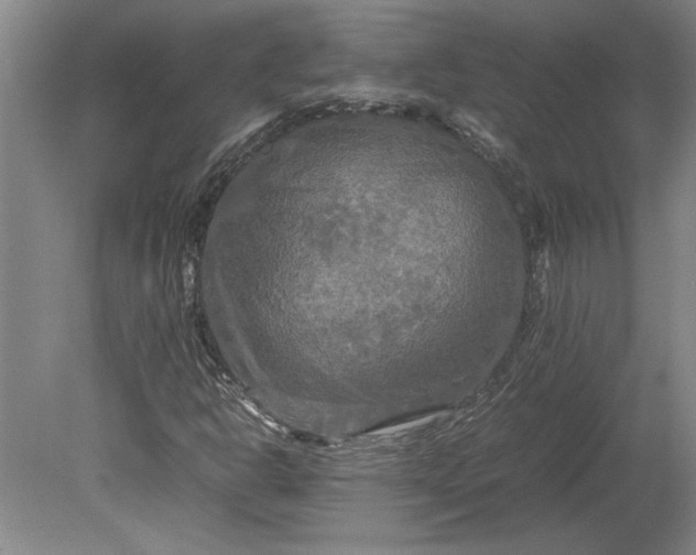 X0000080801302200701021239