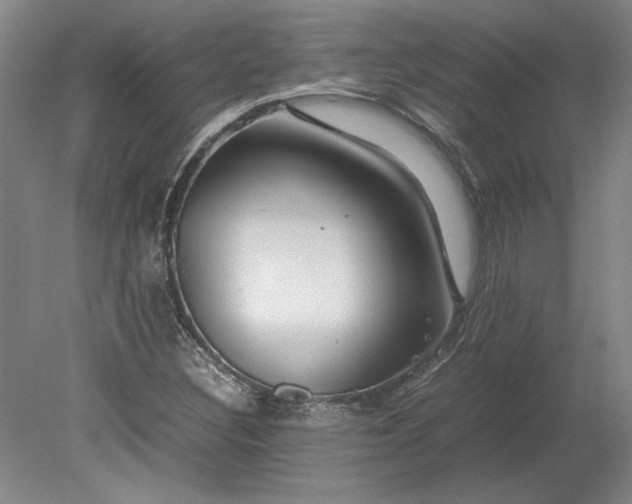 X0000080801308200701021239