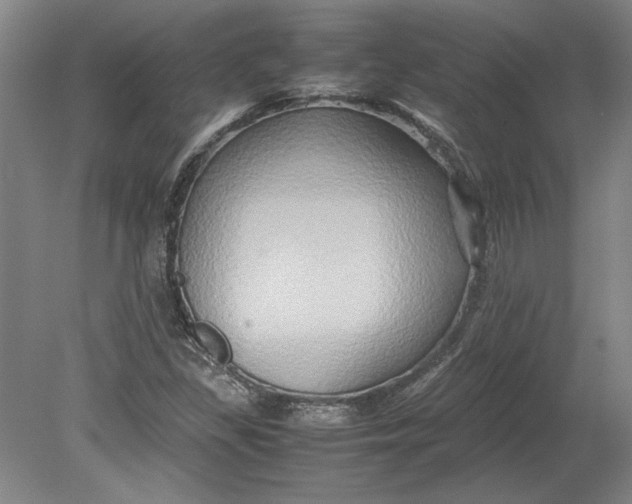 X0000080801309200701021239