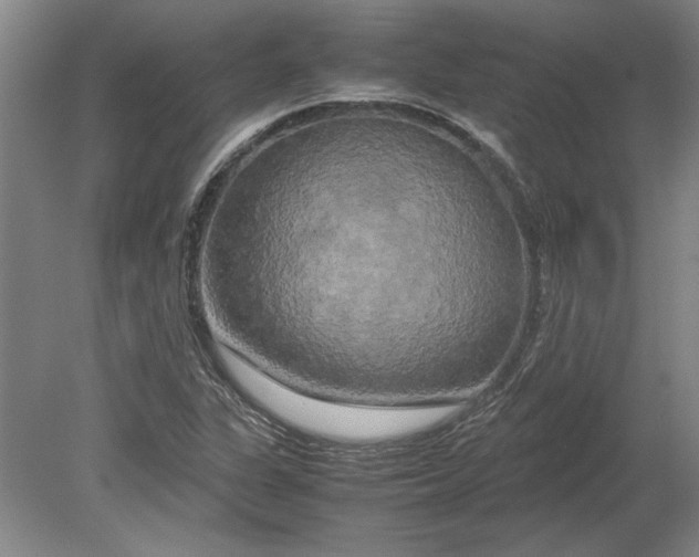 X0000080801311200701021239