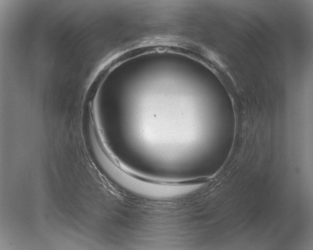 X0000080801312200701021239