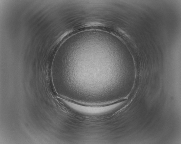 X0000080801313200701021239