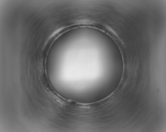 X0000080801315200701021239