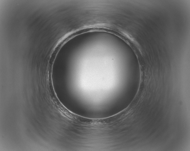 X0000080801316200701021240
