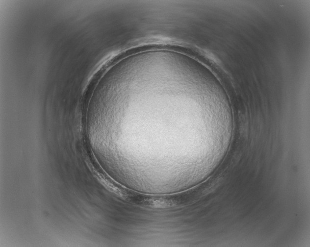 X0000080801318200701021240