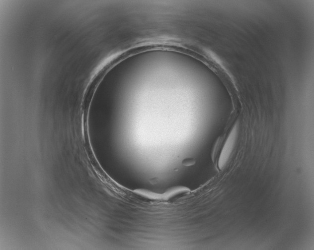 X0000080801320200701021240