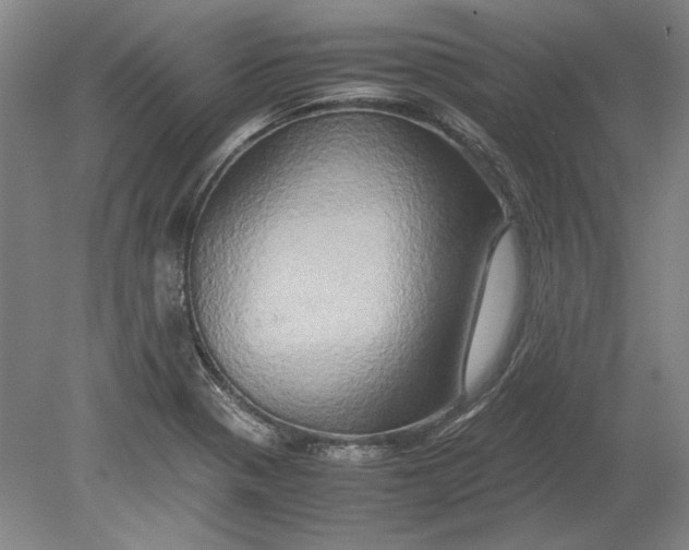 X0000080801321200701021240