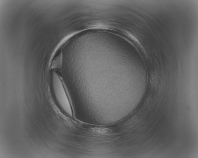 X0000080801323200701021240