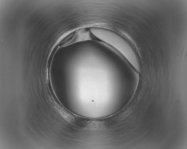 X0000080801324200701021240