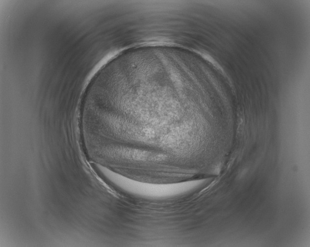 X0000080801325200701021240