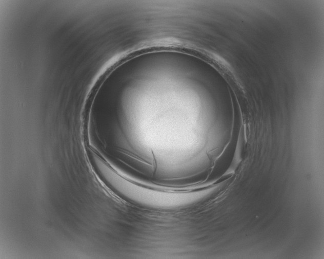 X0000080801326200701021240