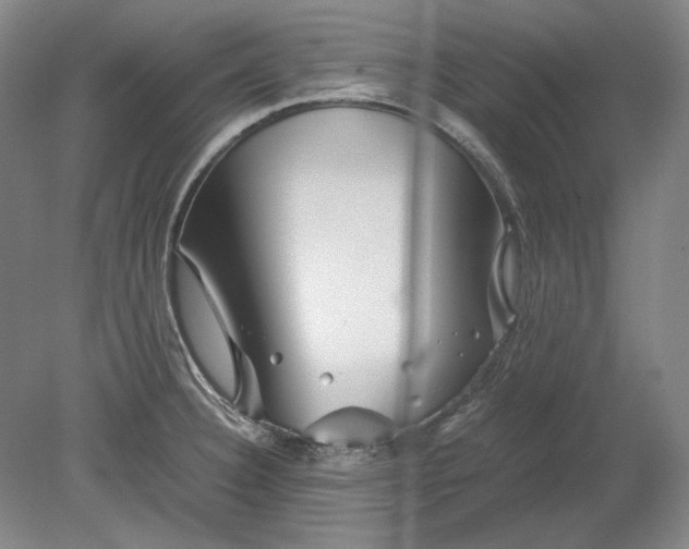 X0000080801332200701021240
