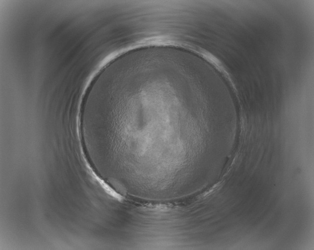 X0000080801334200701021240