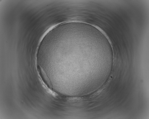 X0000080801341200701021240