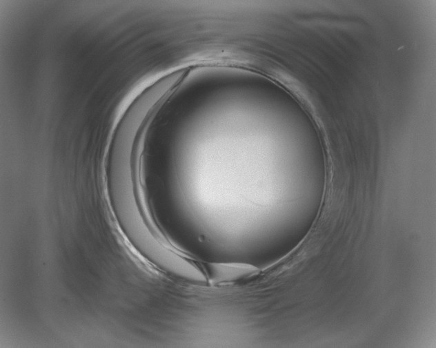 X0000080801344200701021240