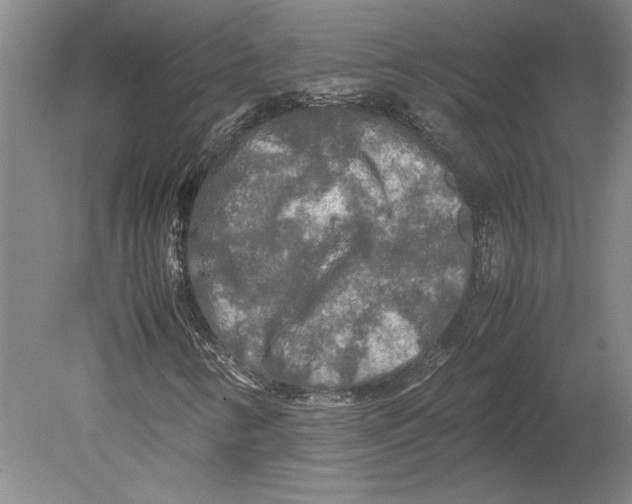 X0000080801346200701021239
