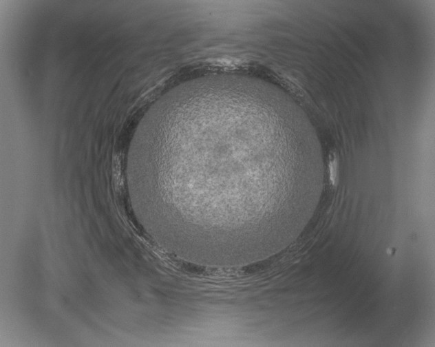 X0000080801347200701021239