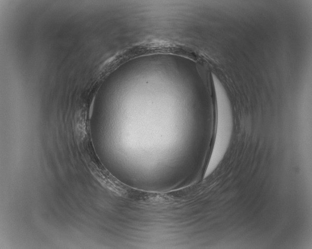 X0000080801348200701021239