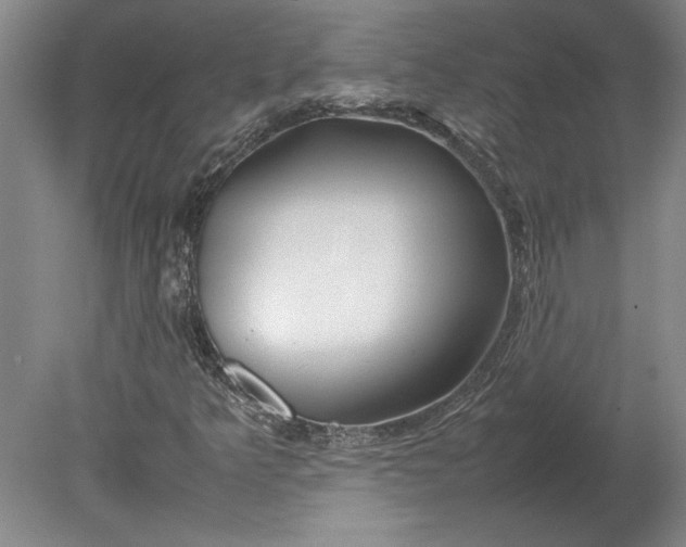 X0000080801349200701021239
