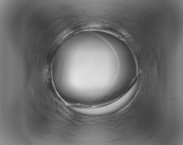 X0000080801353200701021239