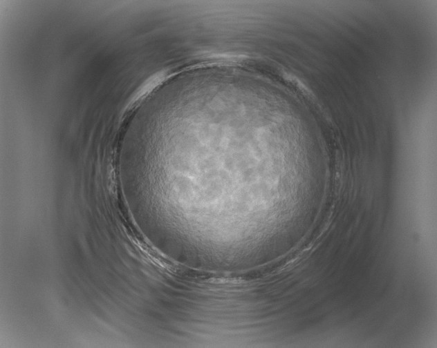 X0000080801354200701021239