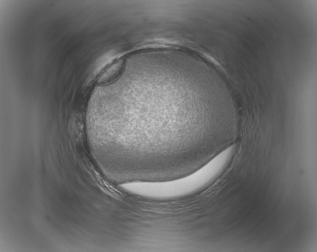 X0000080801355200701021239