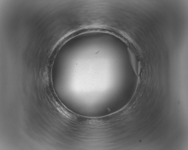 X0000080801356200701021239