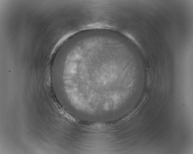 X0000080801358200701021239