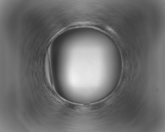 X0000080801361200701021239