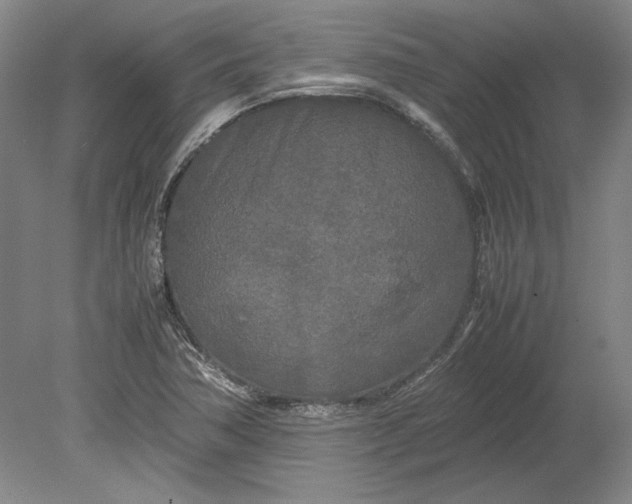 X0000080801362200701021239