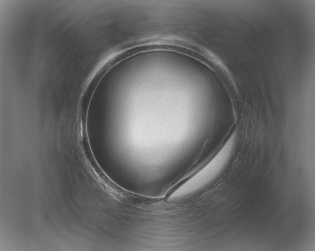 X0000080801368200701021239