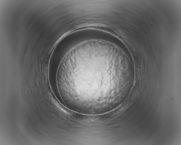 X0000080801369200701021239