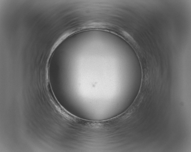 X0000080801370200701021239