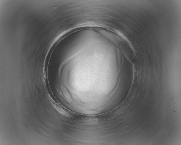 X0000080801372200701021239