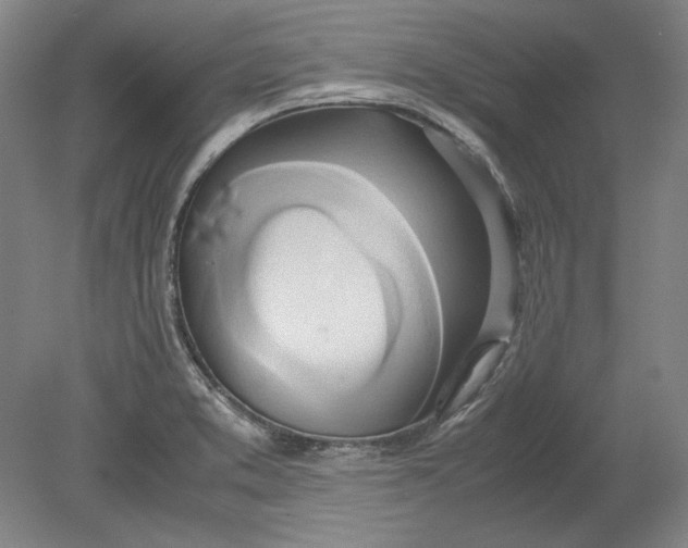 X0000080801373200701021239